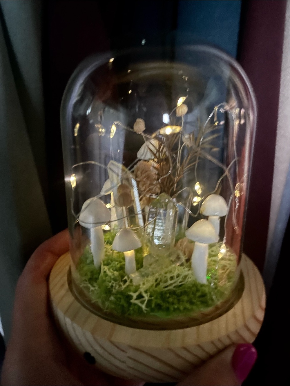 White Mushroom And Clear Quartz Glass Light Up Dome with Green Moss